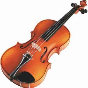 Violín